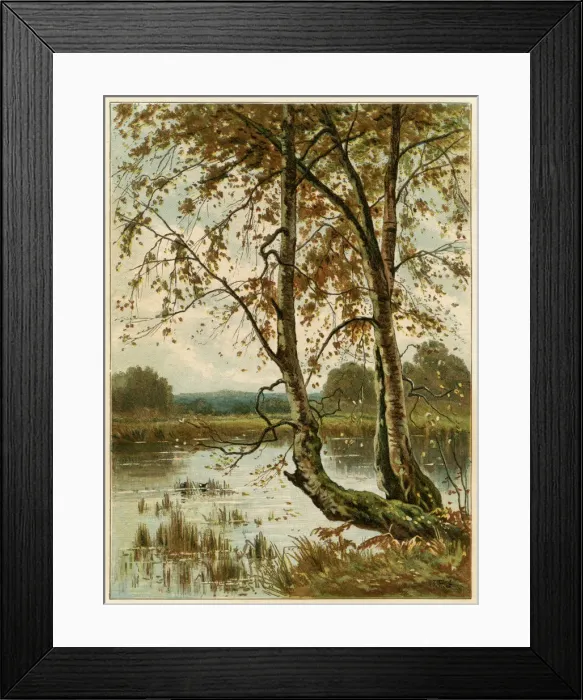 Framed Print : Autumn. The pond in autumn, with waterfowl among the reeds. Date: 1885 Framed Print : Autumn. The pond in autumn, with waterfowl among the reeds. Date: 1885