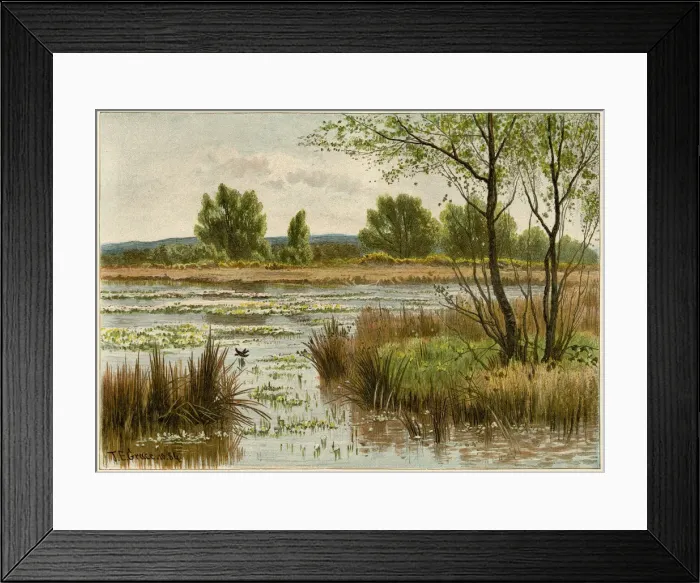 Framed Print : Pond in spring Framed Print : Pond in spring