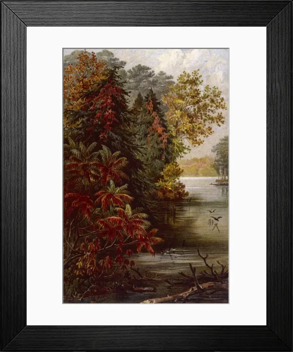 Framed Print : AUTUMNAL TREES BY ERIE Framed Print : AUTUMNAL TREES BY ERIE