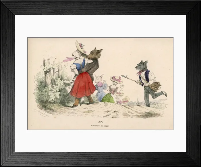Framed Print : SHEEP RESCUED FROM WOLF Framed Print : SHEEP RESCUED FROM WOLF