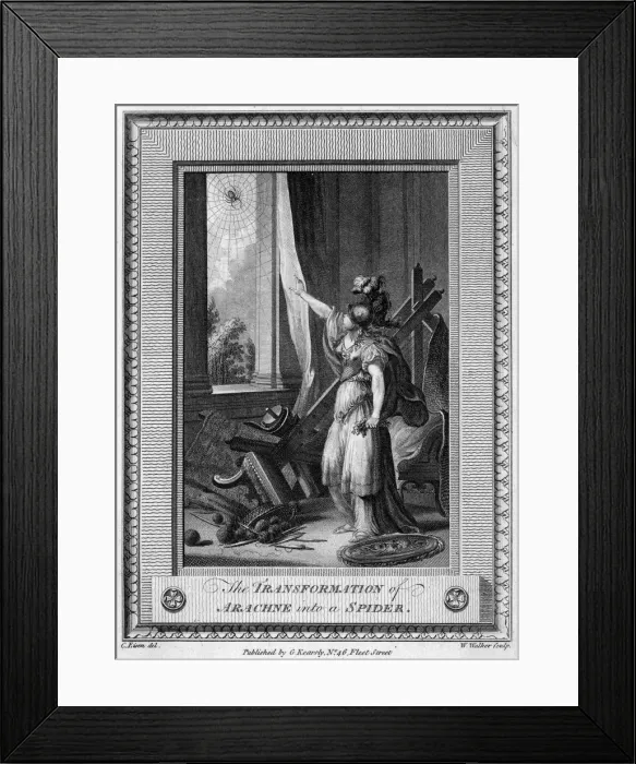 Framed Print : ARACHNE INTO SPIDER Framed Print : ARACHNE INTO SPIDER