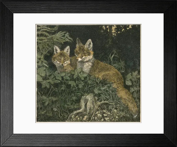 Framed Print : FOX CUBS 1906 Framed Print : FOX CUBS 1906