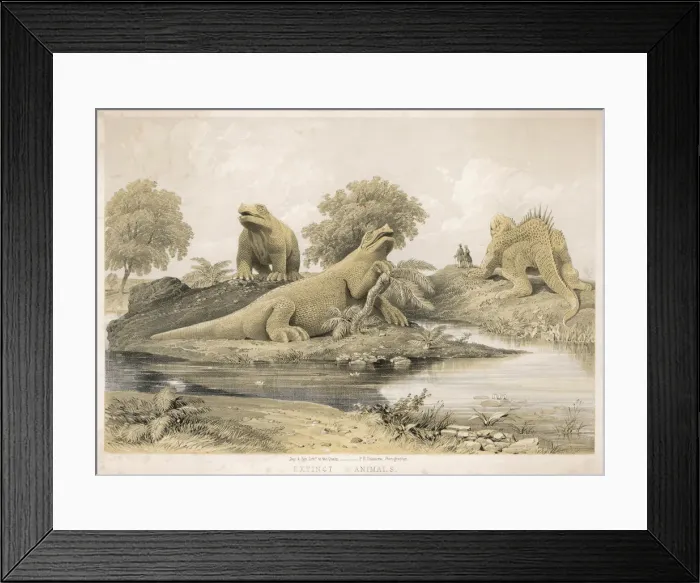 Framed Print : Extinct Animals Carved Framed Print : Extinct Animals Carved