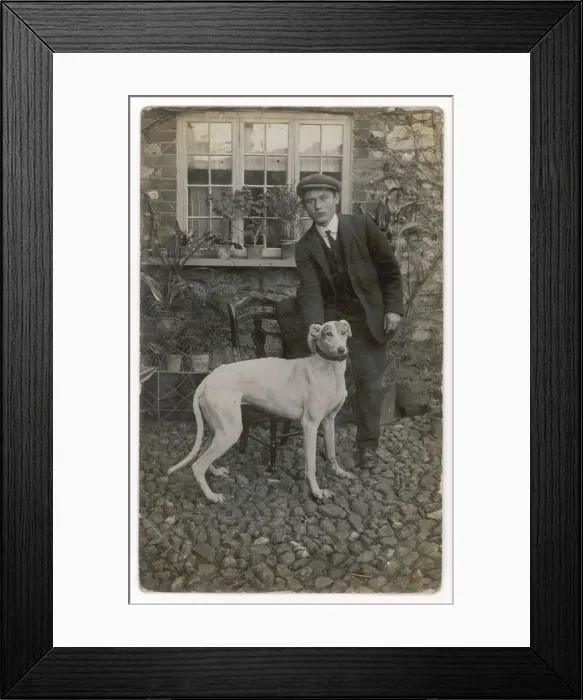 Framed Print : GREYHOUND AND OWNER Framed Print : GREYHOUND AND OWNER