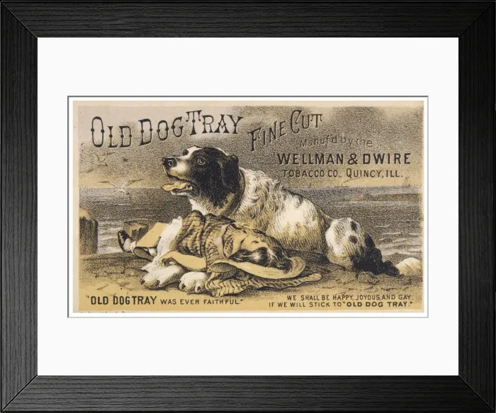 Framed Print : OLD DOG TRAY Framed Print : OLD DOG TRAY