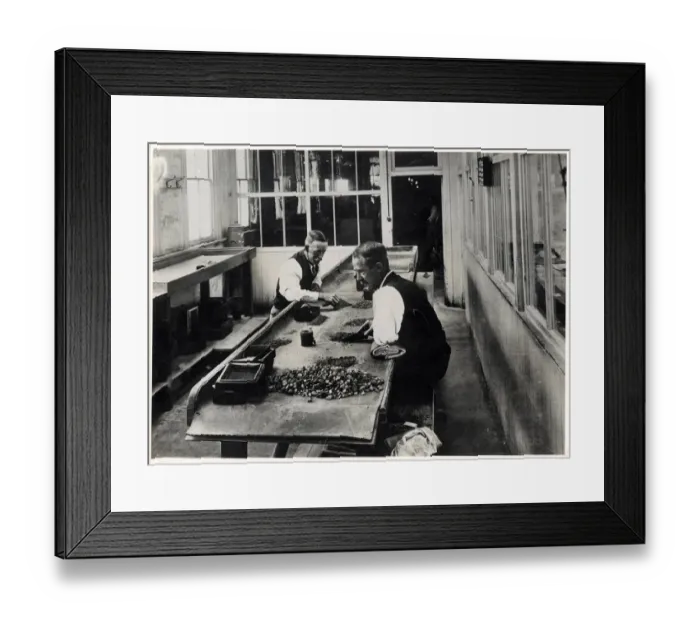 Framed Print : GRADING DIAMONDS Framed Print : GRADING DIAMONDS
