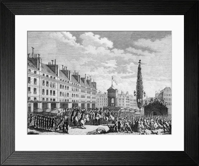 Framed Print : CONSTITUTION PROCLAIMED Framed Print : CONSTITUTION PROCLAIMED