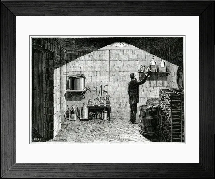 Framed Print : DOMESTIC ELECTRICITY Framed Print : DOMESTIC ELECTRICITY