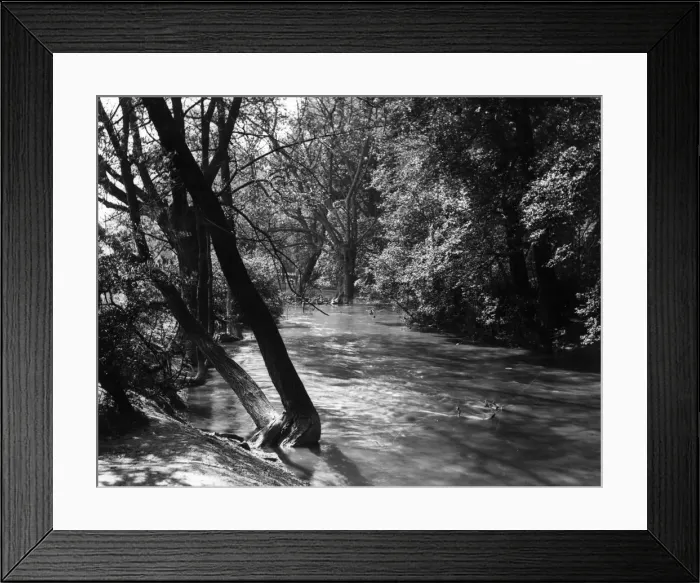 Framed Print : Flooded stream in Wanstead Park, Essex Framed Print : Flooded stream in Wanstead Park, Essex