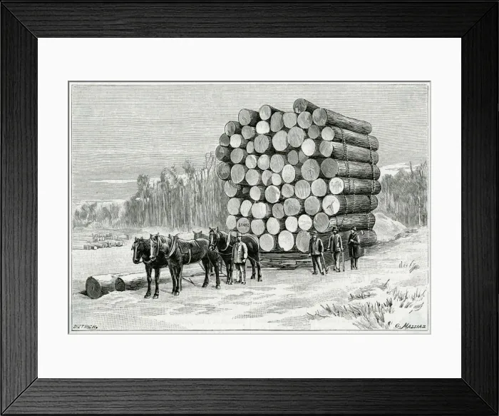 Framed Print : HAULING WOOD, MINNESOTA Framed Print : HAULING WOOD, MINNESOTA