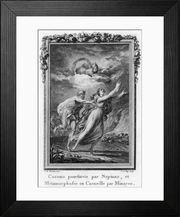 Framed Print : CORONIS BECOMES A CROW Framed Print : CORONIS BECOMES A CROW