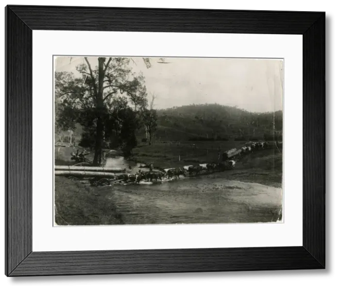 Framed Print : AUSTRALIAN LUMBER WAGONS Framed Print : AUSTRALIAN LUMBER WAGONS