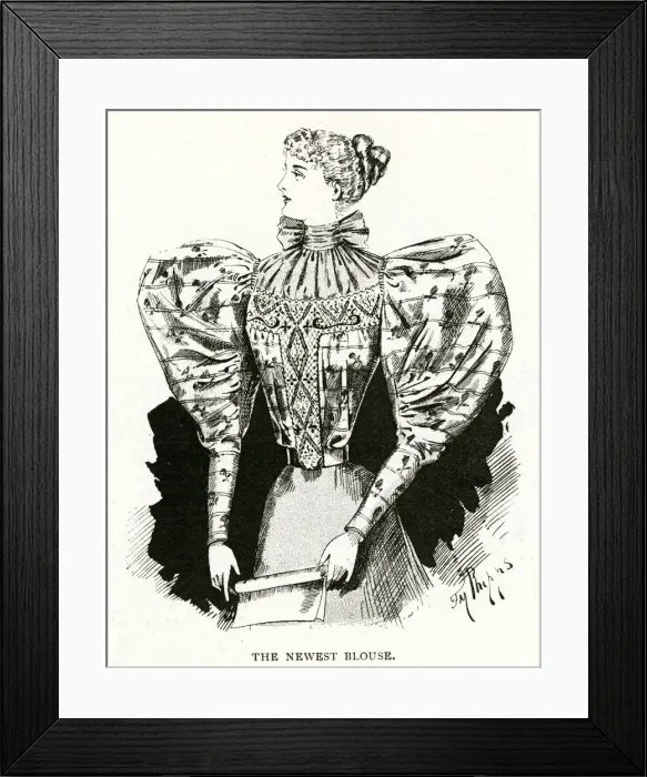 Framed Print : Newest blouse 1895 Framed Print : Newest blouse 1895