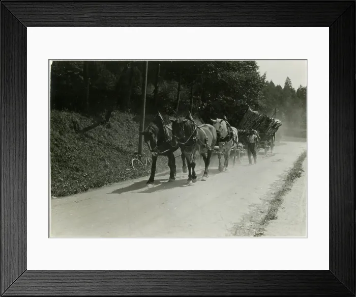 Framed Print : GERMAN TIMBER INDUSTRY Framed Print : GERMAN TIMBER INDUSTRY