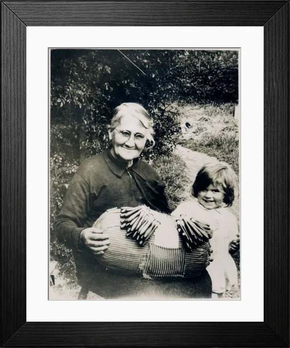Framed Print : PILLOW LACE INDUSTRY Framed Print : PILLOW LACE INDUSTRY