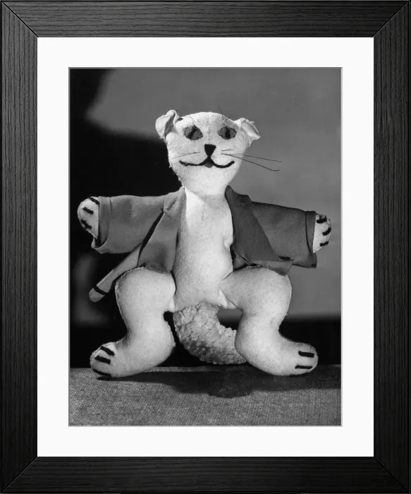 Framed Print : TOY CRICKETING CAT Framed Print : TOY CRICKETING CAT
