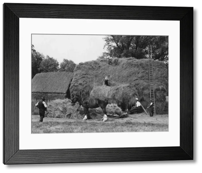 Framed Print : A GIANT HAYSTACK Framed Print : A GIANT HAYSTACK