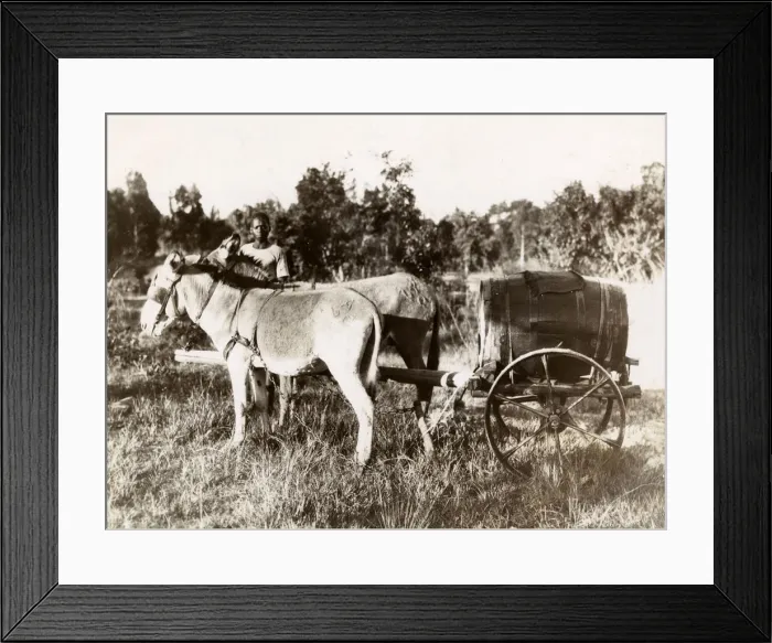 Framed Print : AFRICAN WATER CART Framed Print : AFRICAN WATER CART