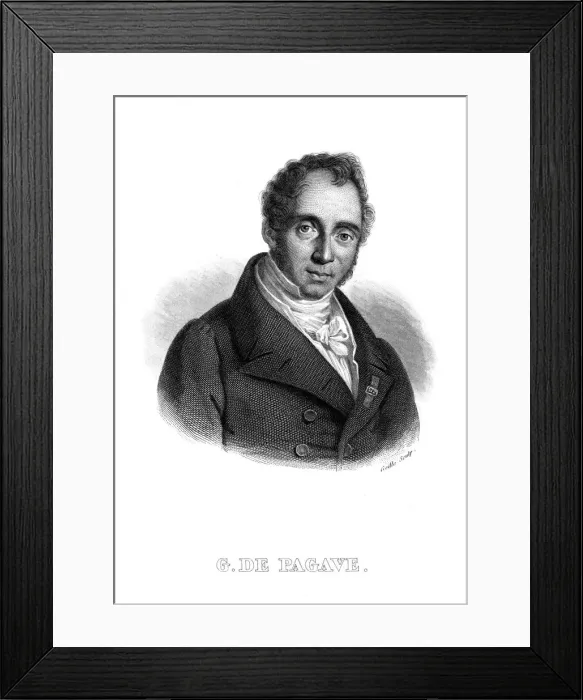 Framed Print : G DE PAGAVE Framed Print : G DE PAGAVE