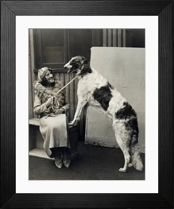 Framed Print : CRUFTS PRIZEWINNER 1933 Framed Print : CRUFTS PRIZEWINNER 1933