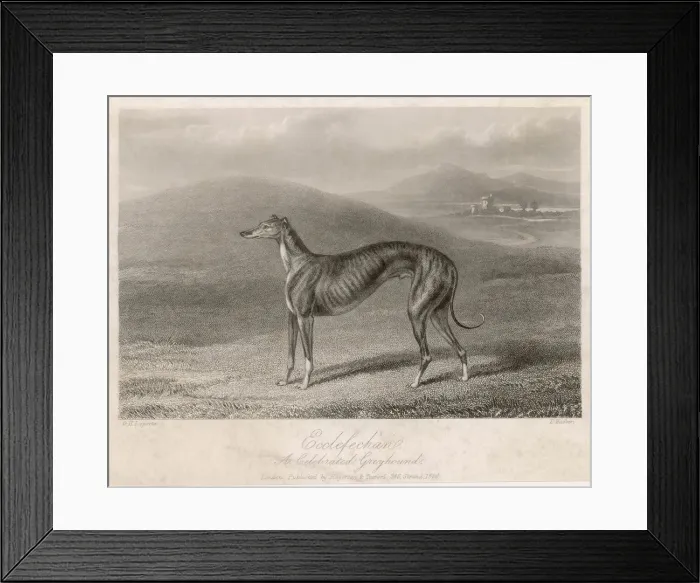 Framed Print : GREYHOUND ECCLEFECHAN Framed Print : GREYHOUND ECCLEFECHAN