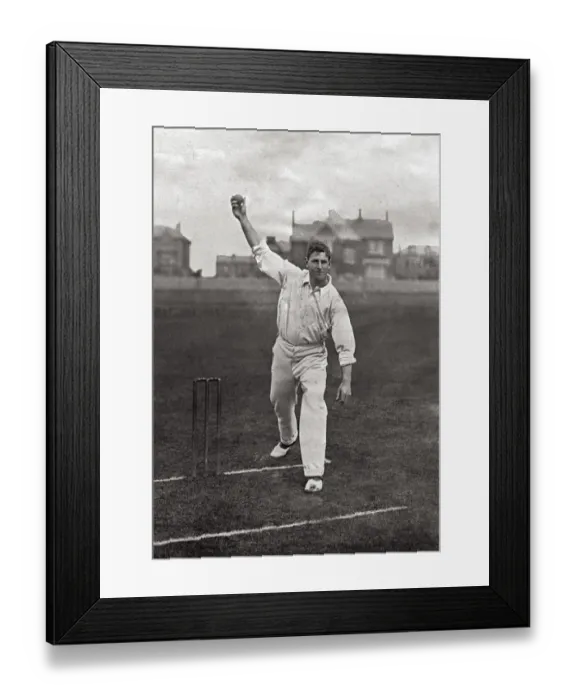 Framed Print : CRICKETER, WOODS