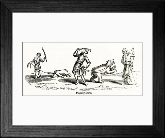 Framed Print : Performing Bears Framed Print : Performing Bears