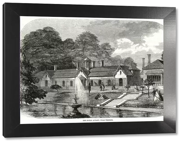 Royal Aviary, near Windsor 1861