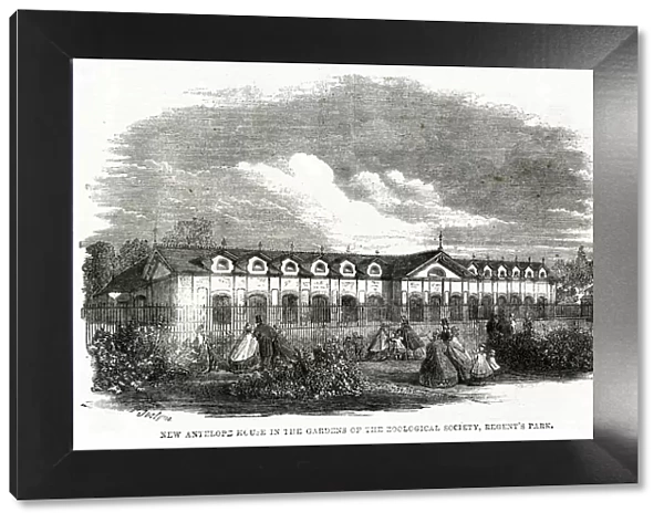 New antelope house - Gardens of Zoological Society 1861