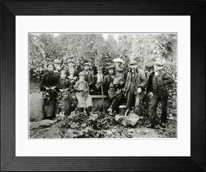 Framed Print : Hop pickers in Kent 1911 Framed Print : Hop pickers in Kent 1911