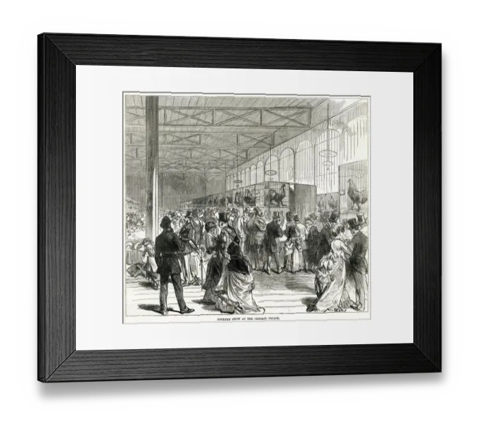 Framed Print : Poultry show at the Crystal Palace 1870 Framed Print : Poultry show at the Crystal Palace 1870