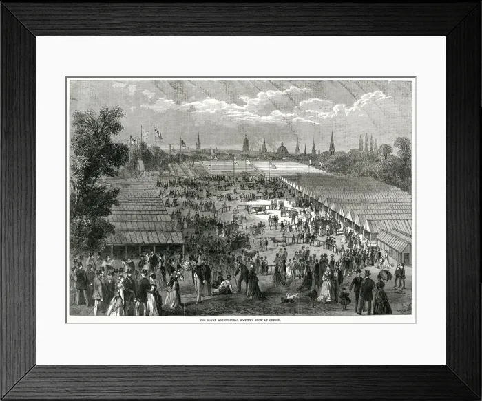 Framed Print : Royal Agricultural Societys show at Oxford 1870 Framed Print : Royal Agricultural Societys show at Oxford 1870