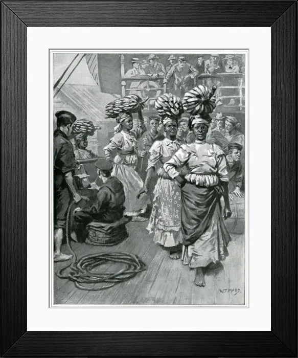 Framed Print : Jamaican export of bananas 1901 Framed Print : Jamaican export of bananas 1901