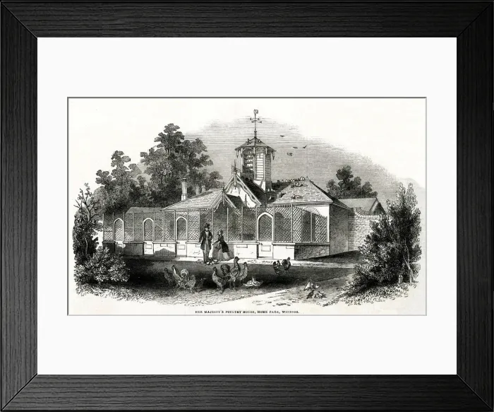 Framed Print : Her Majestys poultry house, Windsor 1843 Framed Print : Her Majestys poultry house, Windsor 1843
