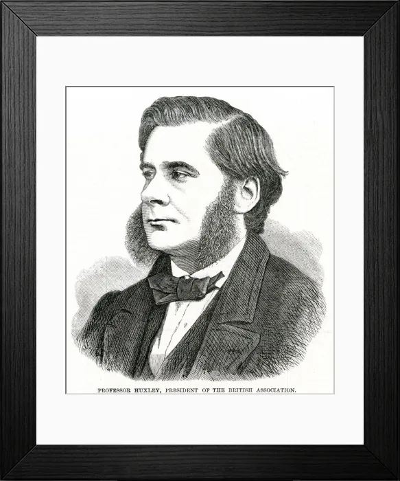 Framed Print : Thomas Henry Huxley Framed Print : Thomas Henry Huxley