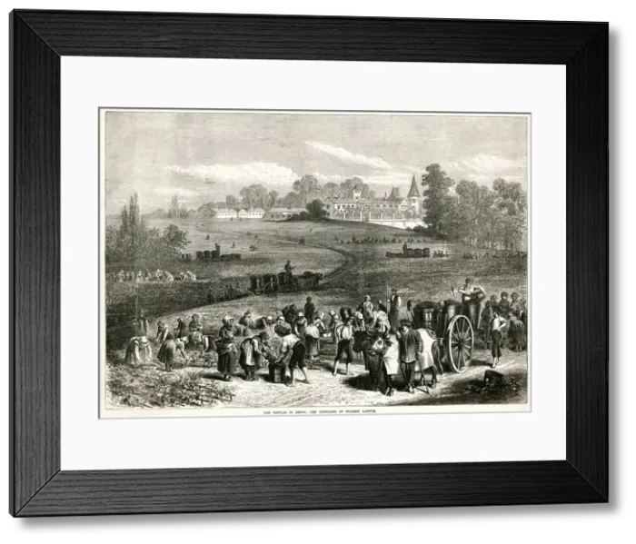 Framed Print : Vintage in Medoc: Vineyards of Chateau Lafitte 1871 Framed Print : Vintage in Medoc: Vineyards of Chateau Lafitte 1871
