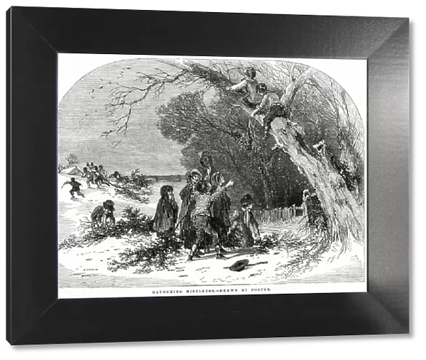 Gathering Mistletoe 1851