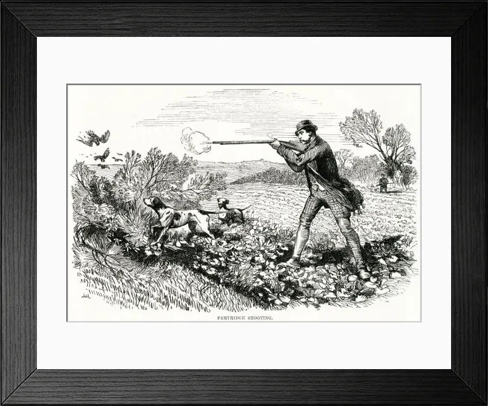 Framed Print : Partridge Shooting 1865 Framed Print : Partridge Shooting 1865