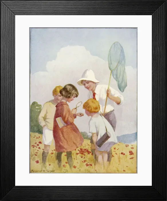 Framed Print : BUTTERFLY CATCHING Framed Print : BUTTERFLY CATCHING