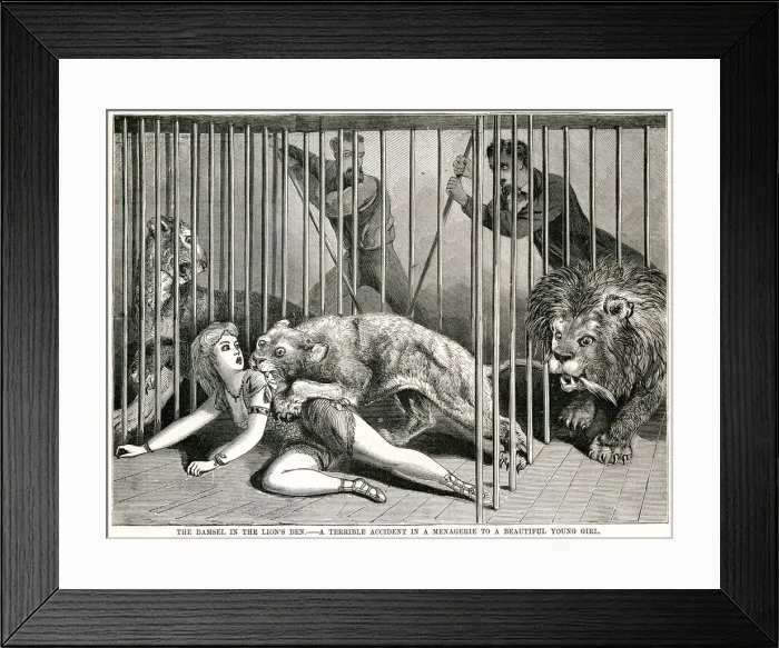 Framed Print : Lion mauling woman 1870 Framed Print : Lion mauling woman 1870