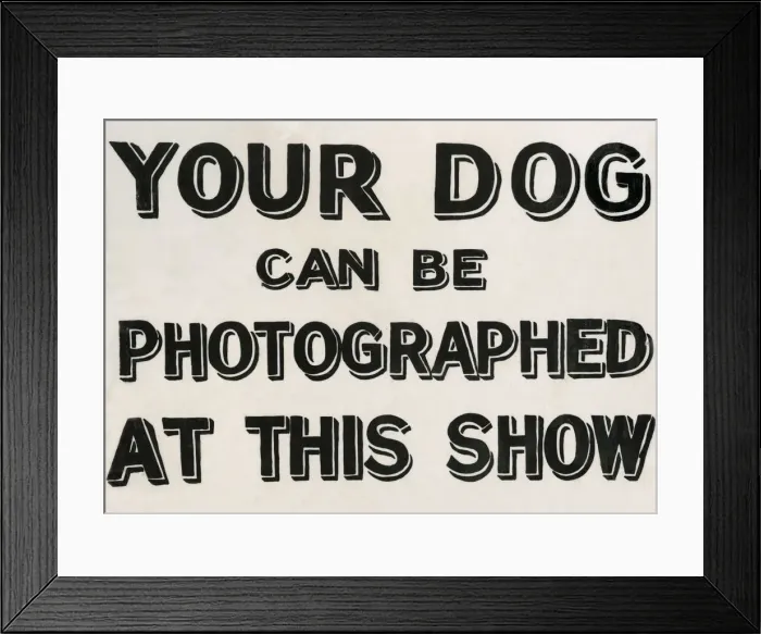 Framed Print : Your dog can be photographed sign Framed Print : Your dog can be photographed sign