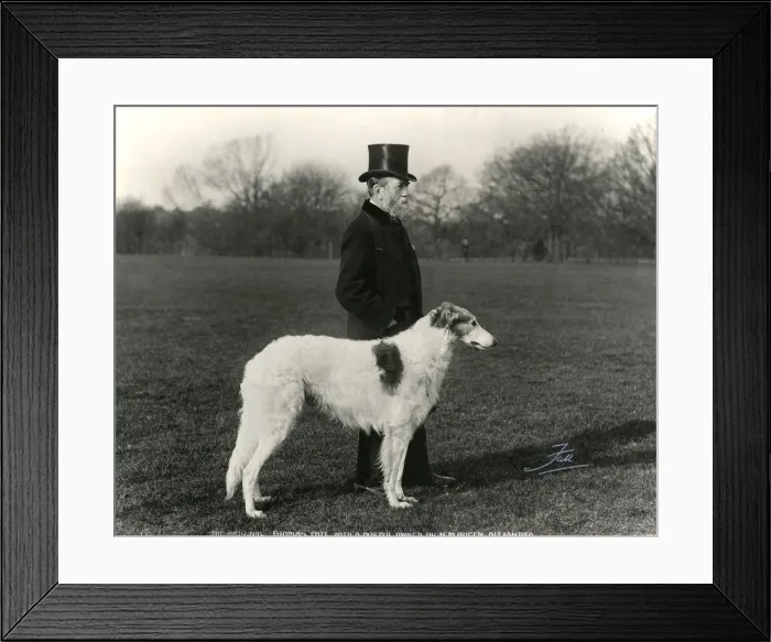 Framed Print : Thomas Fall with borzoi Framed Print : Thomas Fall with borzoi