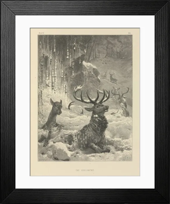 Framed Print : The Avalanche Framed Print : The Avalanche