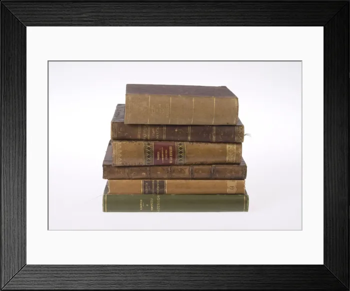 Framed Print : The Origin of Species Framed Print : The Origin of Species