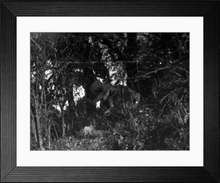 Framed Print : Boys of the Mussoorie Scout Troop, India Framed Print : Boys of the Mussoorie Scout Troop, India