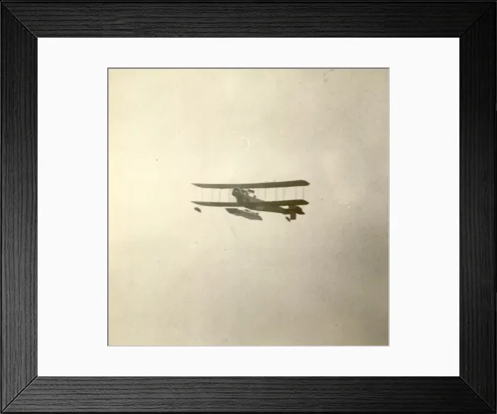 Framed Print : Lakes Seabird 1912 Framed Print : Lakes Seabird 1912