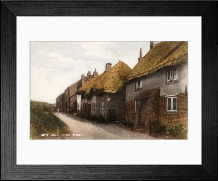 Framed Print : Butt Lane, Bere Regis, Dorset Framed Print : Butt Lane, Bere Regis, Dorset