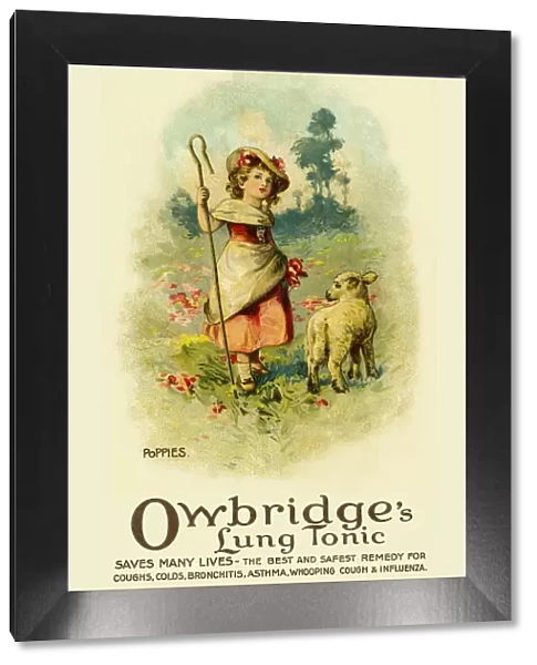 Poppies. Owbridges lung tonic advertising