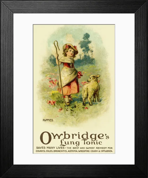 Framed Print : Poppies. Owbridges lung tonic advertising Framed Print : Poppies. Owbridges lung tonic advertising