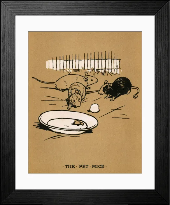 Framed Print : Illustration, Cecil Aldins Painting Books, Our Animals Framed Print : Illustration, Cecil Aldins Painting Books, Our Animals